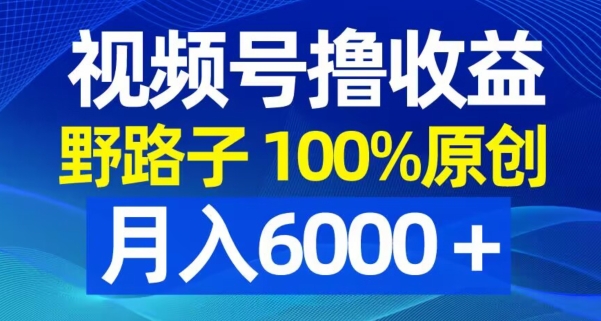 视频号野路子撸收益，100%原创，条条爆款，月入6000＋【揭秘】-学习资源库