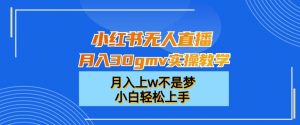 小红书无人直播月入30gmv实操教学,月入上w不是梦,小白轻松上手【揭秘】-学习资源库
