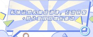 私域运营实操培训课,引流获客+转化变现双增长驱动-学习资源库