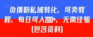 负债粉私域转化,可卖教程,每日可入2000+,无需经验(包含资料)【揭秘】-学习资源库