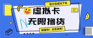 虚拟卡无限撸货,百分百成功下车【仅揭秘】-学习资源库