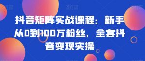 抖音矩阵实战课程:新手从0到100万粉丝,全套抖音变现实操-学习资源库