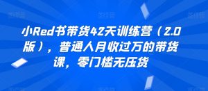小Red书带货42天训练营(2.0版),普通人月收过万的带货课,零门槛无压货-学习资源库