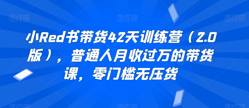 小Red书带货42天训练营（2.0版），普通人月收过万的带货课，零门槛无压货-学习资源库