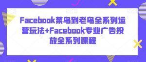 Facebook菜鸟到老鸟全系列运营玩法+Facebook专业广告投放全系列课程-学习资源库