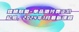 臻曦联盟-单品微付费正价起号,2024年1月最新课程-学习资源库