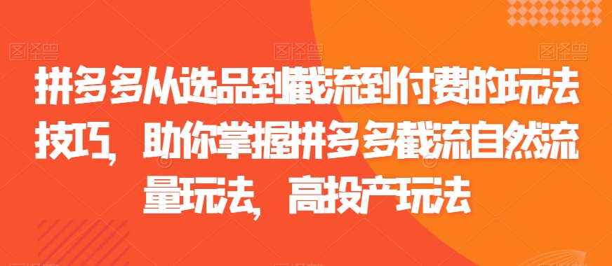 拼多多从选品到截流到付费的玩法技巧，助你掌握拼多多截流自然流量玩法，高投产玩法-学习资源库