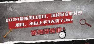 2024最新风口项目,视频号变老特效项目,电脑小白上手3天卖了3w+,保姆级教程【揭秘】-学习资源库