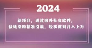 2024新项目,通过国外社交软件,快速涨粉精准引流,轻松做到月入上万【揭秘】-学习资源库