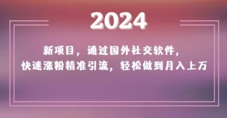 2024新项目，通过国外社交软件，快速涨粉精准引流，轻松做到月入上万【揭秘】-学习资源库