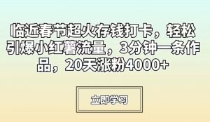 临近春节超火存钱打卡,轻松引爆小红薯流量,3分钟一条作品,20天涨粉4000+【揭秘】-学习资源库