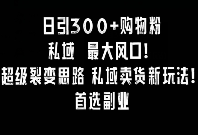 日引300+购物粉，超级裂变思路，私域卖货新玩法，小红书首选副业【揭秘】-学习资源库