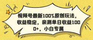 视频号最新100%原创玩法,收益稳定,亲测单日收益1000+,小白专属【揭秘】-学习资源库