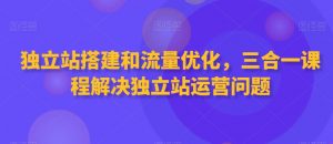 独立站搭建和流量优化，三合一课程解决独立站运营问题-学习资源库