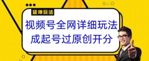 视频号全网最详细玩法,起号过原创开分成,单号日入300+【揭秘】-学习资源库