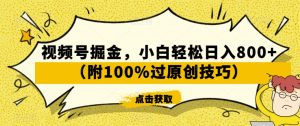 视频号掘金,小白轻松日入800+(附100%过原创技巧)【揭秘】-学习资源库