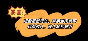 短剧最新玩法,新手当天就可以有收入,收入轻松破万【揭秘】-学习资源库