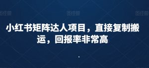 小红书矩阵达人项目，直接复制搬运，回报率非常高-学习资源库