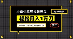谷歌看广告撸美金2.0,无脑挂机,多号操作,月入1万刀【揭秘】-学习资源库