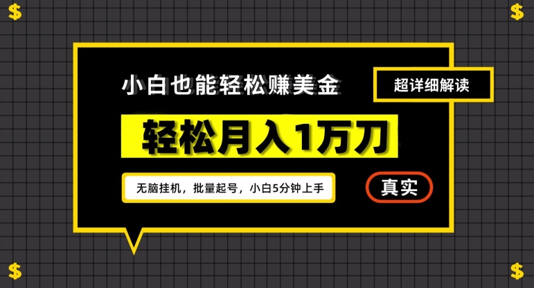 谷歌看广告撸美金2.0，无脑挂机，多号操作，月入1万刀【揭秘】-学习资源库