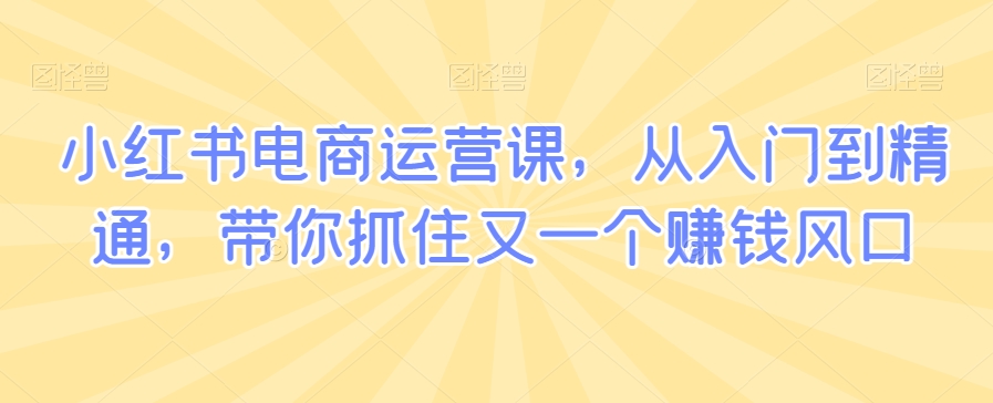 小红书电商运营课，从入门到精通，带你抓住又一个赚钱风口-学习资源库