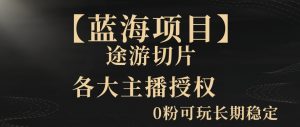 一天收入2000+,最新中视频创新玩法,用AI科技一键改唱影解说刷爆流量收益【揭秘】-学习资源库