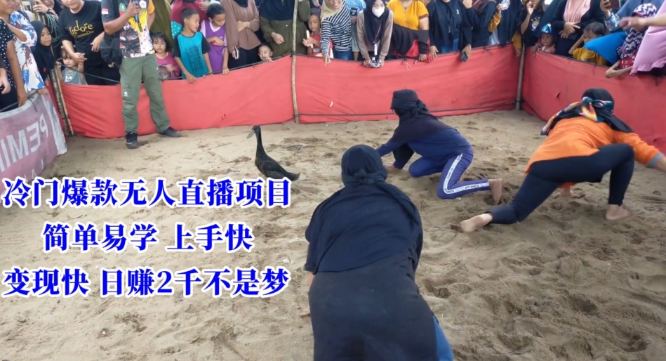 冷门爆款无人直播项目，简单易学上手快，变现快日赚2千不是梦【揭秘】-学习资源库