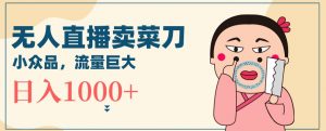 无人冷门品直播新玩法,通过卖菜刀日入1000+【揭秘】-学习资源库