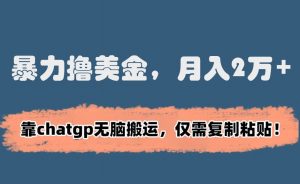 暴力撸美金,月入2万+!靠chatgp无脑搬运,仅需复制粘贴【揭秘】-学习资源库