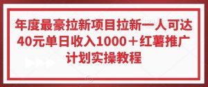 年度最豪拉新项目拉新一人可达40元单日收入1000+红薯推广计划实操教程【揭秘】-学习资源库