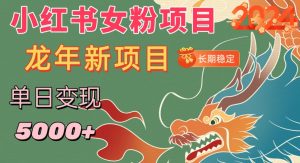 小红书女粉头像项目,单日变现5000+,适合在家做的副业,长期稳定【揭秘】-学习资源库