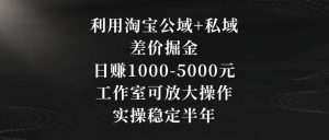 利用淘宝公域+私域差价掘金,日赚1000-5000元,工作室可放大操作,实操稳定半年【揭秘】-学习资源库