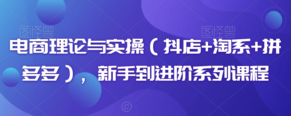 电商理论与实操（抖店+淘系+拼多多），新手到进阶系列课程-学习资源库