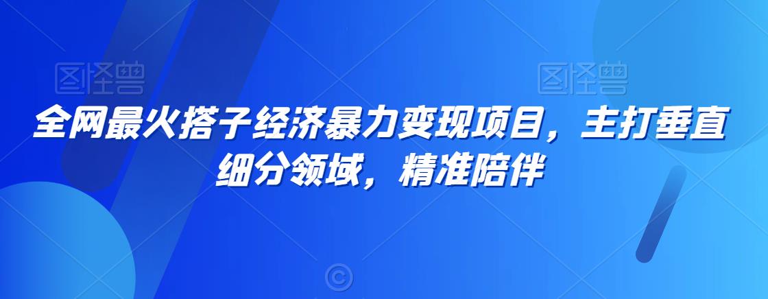 全网最火搭子经济暴力变现项目，主打垂直细分领域，精准陪伴【揭秘】-学习资源库