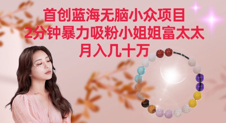 首创蓝海无脑小众项目，2分钟暴力吸粉小姐姐富太太，月入几十万【揭秘】-学习资源库