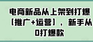 电商新品从上架到打爆【推广+运营】,新手从0打爆款-学习资源库