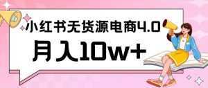 小红书新电商实战,无货源实操从0到1月入10w+联合抖音放大收益【揭秘】-学习资源库