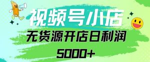 视频号无货源小店从0到1日订单量千单以上纯利润稳稳5000+【揭秘】-学习资源库
