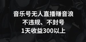 音乐号无人直播赚音浪,不违规、不封号,1天收益300+【揭秘】-学习资源库