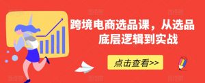 跨境电商选品课,从选品到底层逻辑到实战-学习资源库
