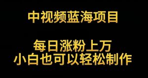 中视频蓝海项目,解读英雄人物生平,每日涨粉上万,小白也可以轻松制作,月入过万不是梦【揭秘】-学习资源库