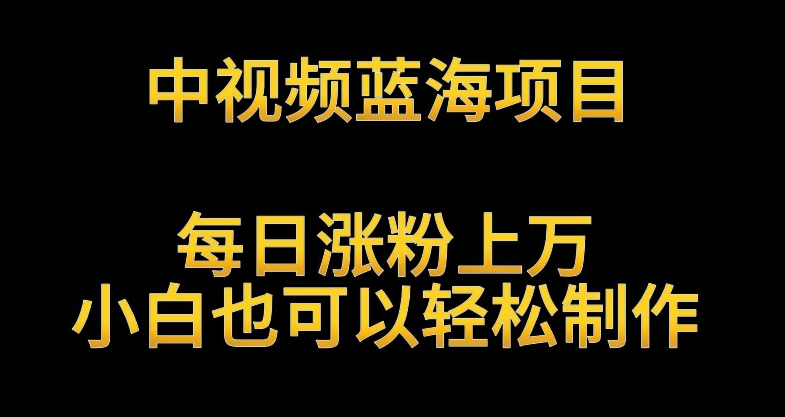 中视频蓝海项目，解读英雄人物生平，每日涨粉上万，小白也可以轻松制作，月入过万不是梦【揭秘】-学习资源库