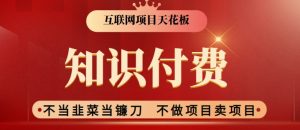 2024互联网项目天花板,新手小白也可以通过知识付费月入10W,实现财富自由【揭秘】-学习资源库