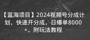 【蓝海项目】2024视频号分成计划,快速开分成,日爆单8000+,附玩法教程-学习资源库
