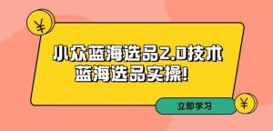 拼多多培训第33期:小众蓝海选品2.0技术-蓝海选品实操!-学习资源库