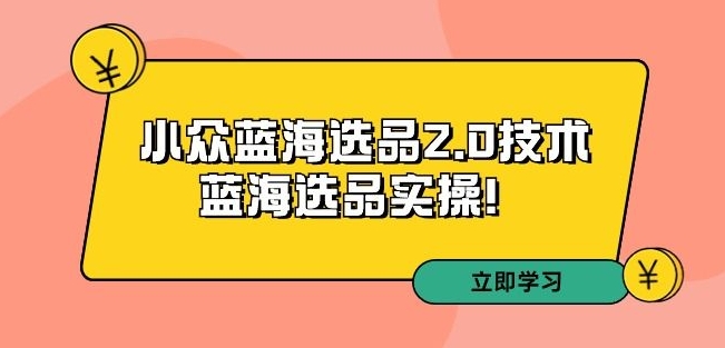 拼多多培训第33期：小众蓝海选品2.0技术-蓝海选品实操！-学习资源库