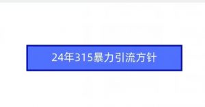 24年315暴力引流方针-学习资源库