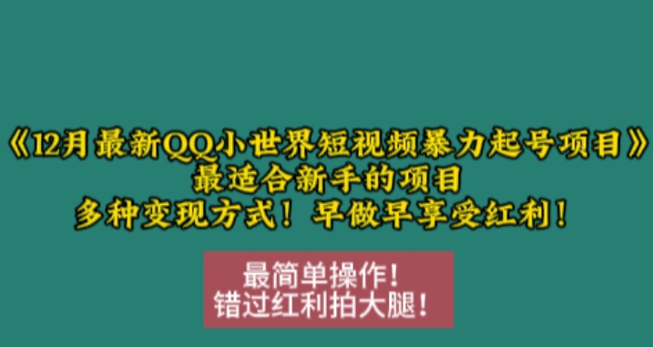 12月最新QQ小世界短视频暴力起号项目，最适合新手的项目，多种变现方式-学习资源库