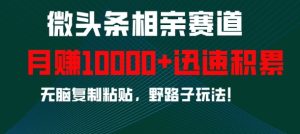 微头条相亲赛道,迅速积累,无脑复制粘贴,野路子玩法,月入1w-学习资源库