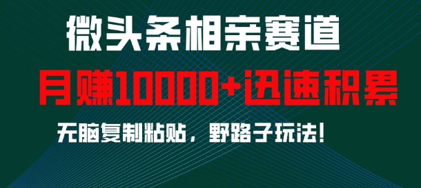 微头条相亲赛道，迅速积累，无脑复制粘贴，野路子玩法，月入1w-学习资源库